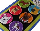 French Bulldog Silly Dog Magnet Set