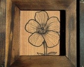 Flower  illustration in handmade wooden frame