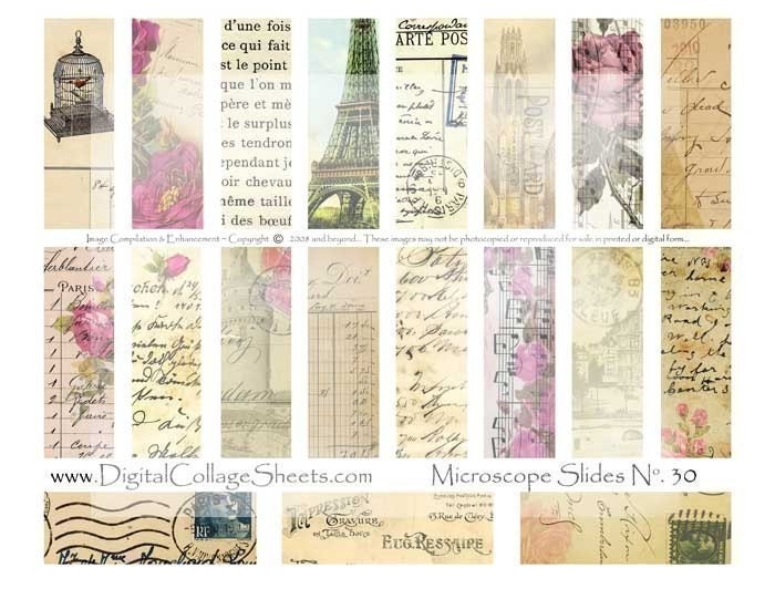 Instant Download 1 inch x 3 inch Digital Collage Sheet French Microscope Slide DCS-269 DigitalCollageSheets, Printables, Downloads
