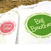 Personalized SET of two big or little brother OR sister shirts or onesies matching set  you chose design, size, and color