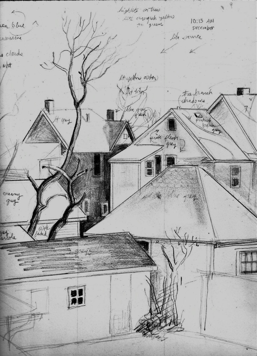 Backyard Drawing