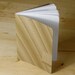Set of 4 Gold Mini Notebooks