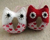 Valentines Day Owls Couple