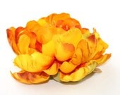 Yellow Flowers - Bright Yellow Tones Peony - 5 inches
