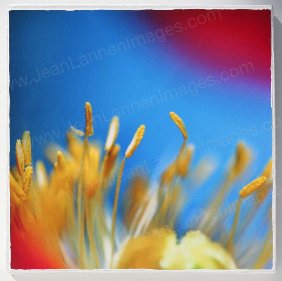 OOAK Sunshine Aliens- Orig Altered Photo on Canvas, 8x8, with Eerie Surreal Magical Vivid Blue, Yellow Red Orange by Jean Lannen