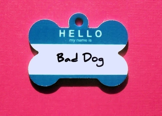 Customized Bone Metal Pet ID Tag - Hello Tag