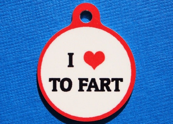 pet id tag - I Heart to Fart - MEDIUM sized- Custom Metal Pet ID Tag