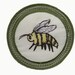 For 'being a busy as a bee' Merit Badge
