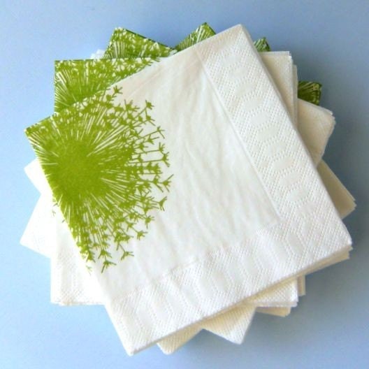 Hudson Napkins - White/Green - Set of 25 