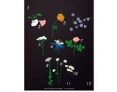 Wildflowers Calendar \/ Claire Nereim