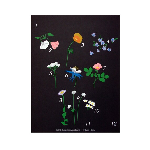 Wildflowers Calendar \/ Claire Nereim