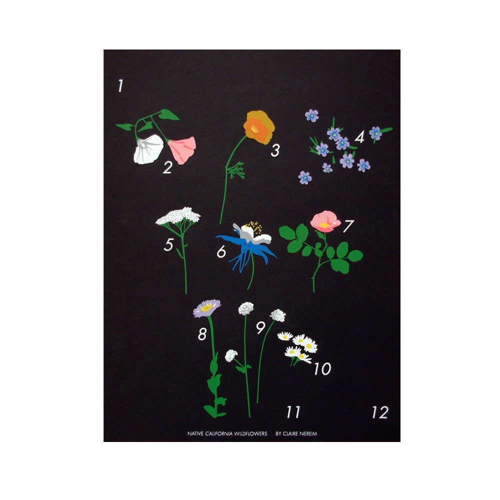 Wildflowers Calendar \/ Claire Nereim