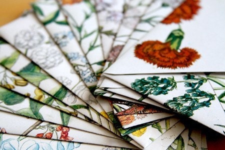 Botany (Stationery Set)