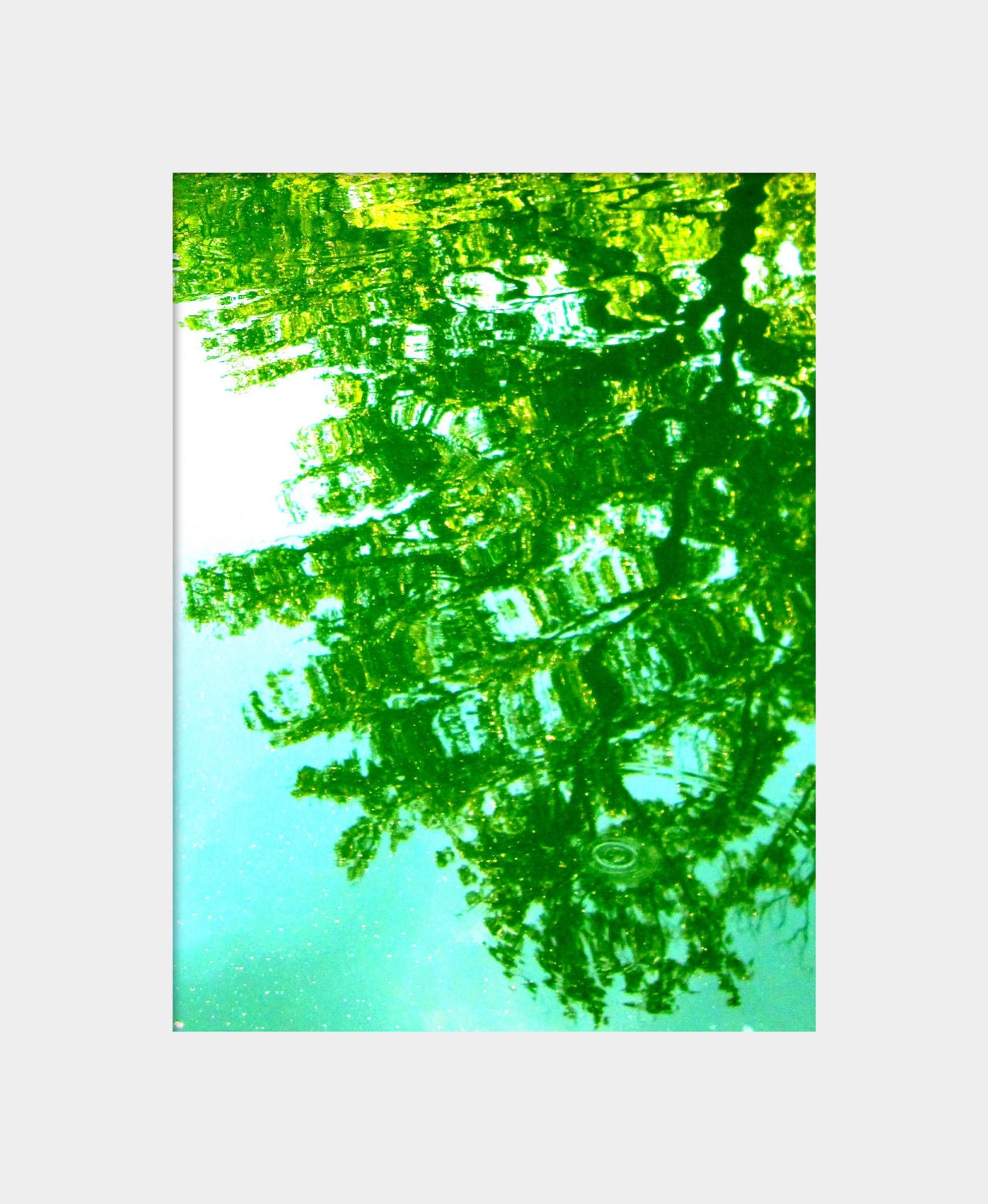 Reflection II: vibrant fine art photograph print of green tree reflected in aqua blue pond water with ripples