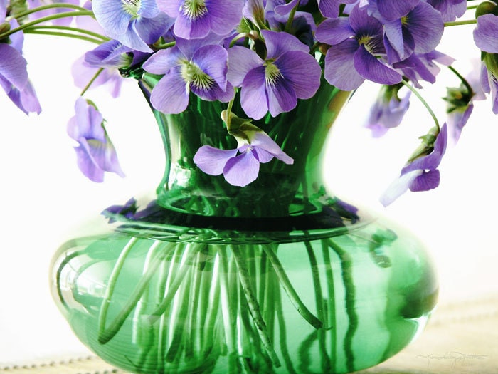 Wild and Sweet - Purple Violets Bouquet Photo Art