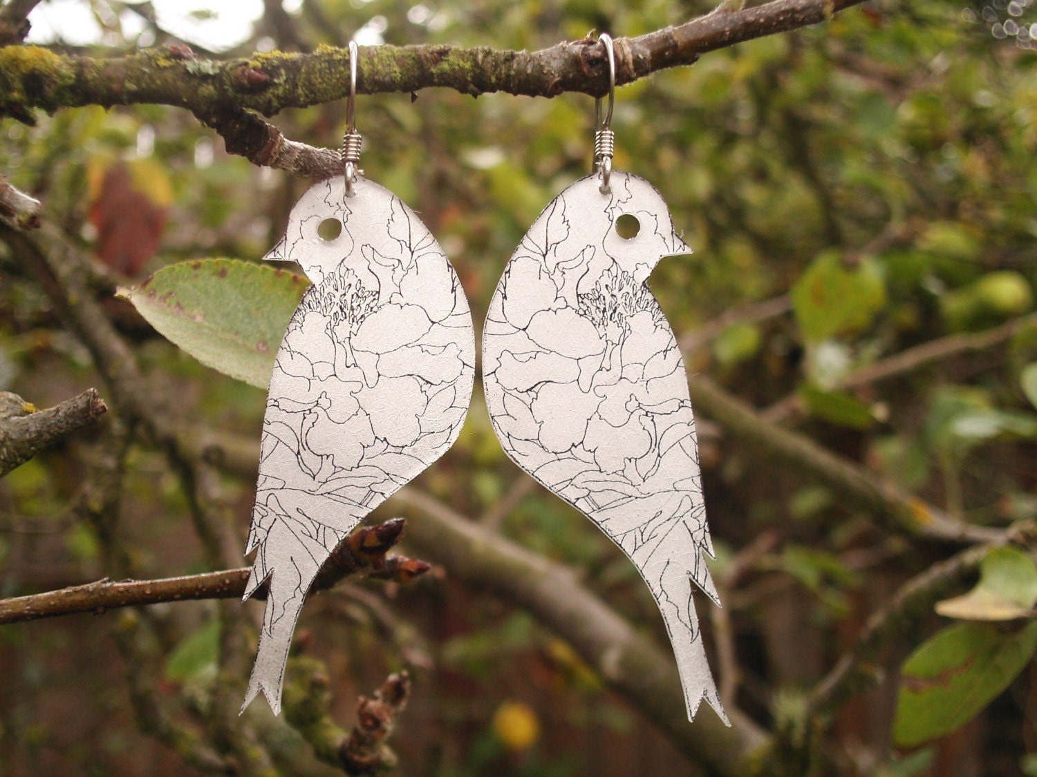 love birds 1