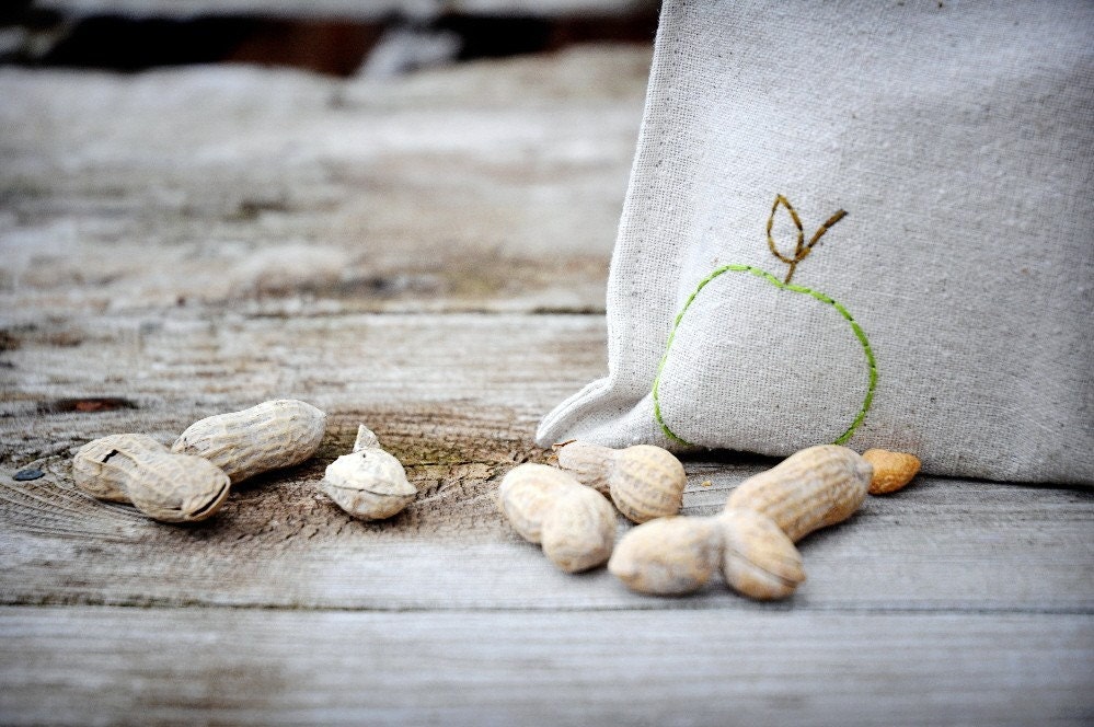 Reusable Sandwich Bag - Reusable Snack Bag - Hand Embroidered - Apple - Eco Friendly
