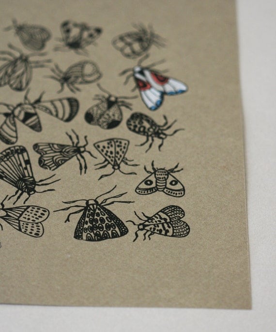 Moth - Original Gocco Print