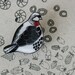 Partridge Pin