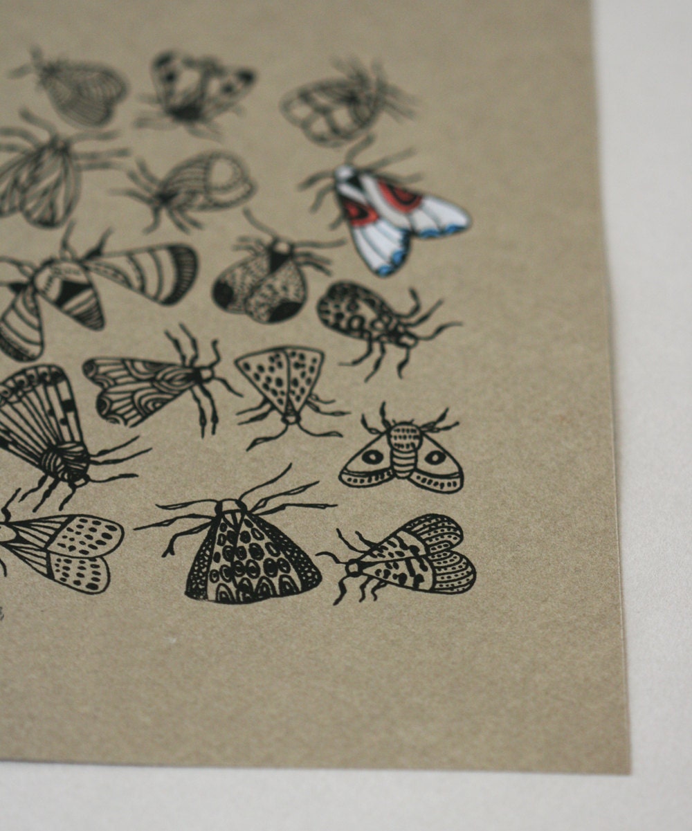 Moth - Original Gocco Print