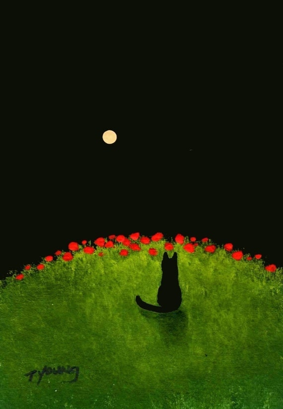 Black Cat  POPPY HILL  art print by Todd Young