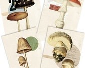 Fungus Set- Digital PDF ACEO Tags for Download and Print