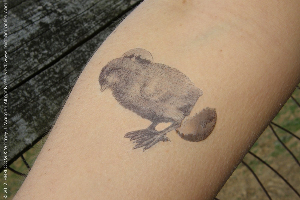 Limited Edition: Spring Farm Animal Temporary Tattoo Series