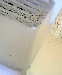Warm Vanilla Sugar Bath and Body Bar