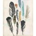 Feathers