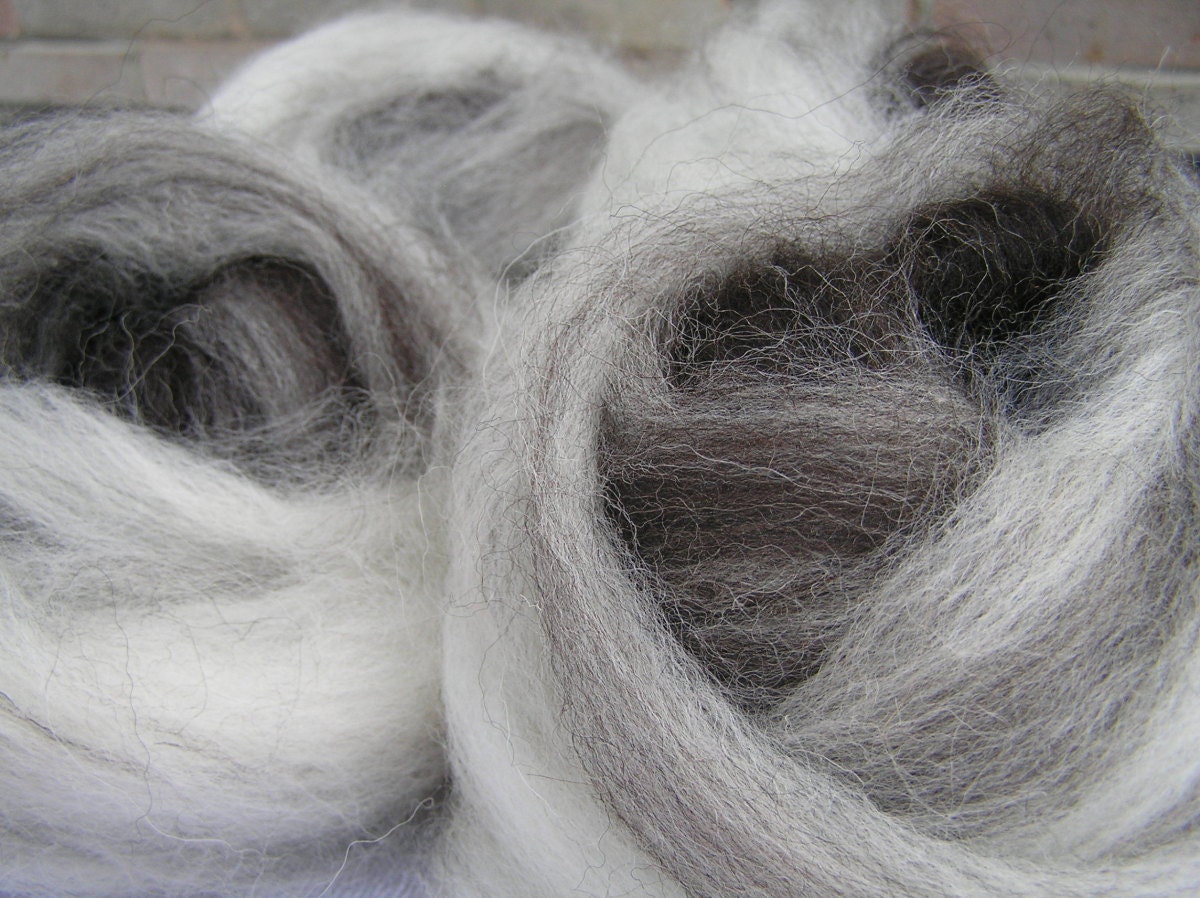 120g (4.2oz) hand pulled Shetland roving in natural colours