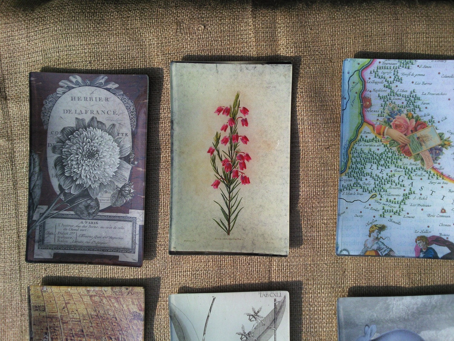 Botanical Spring Sprig Decoupage Tray