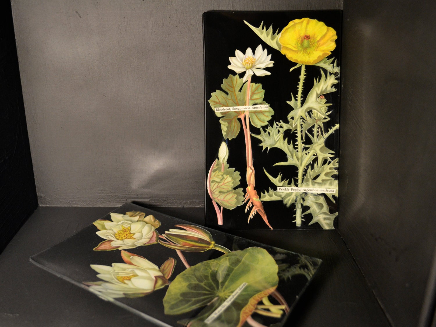 Blackboard Botanical Decoupage Glass Tray - Decoupage Plate