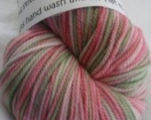 Sport-a-licious Yarn