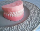 Peppermint Denture Soap Set