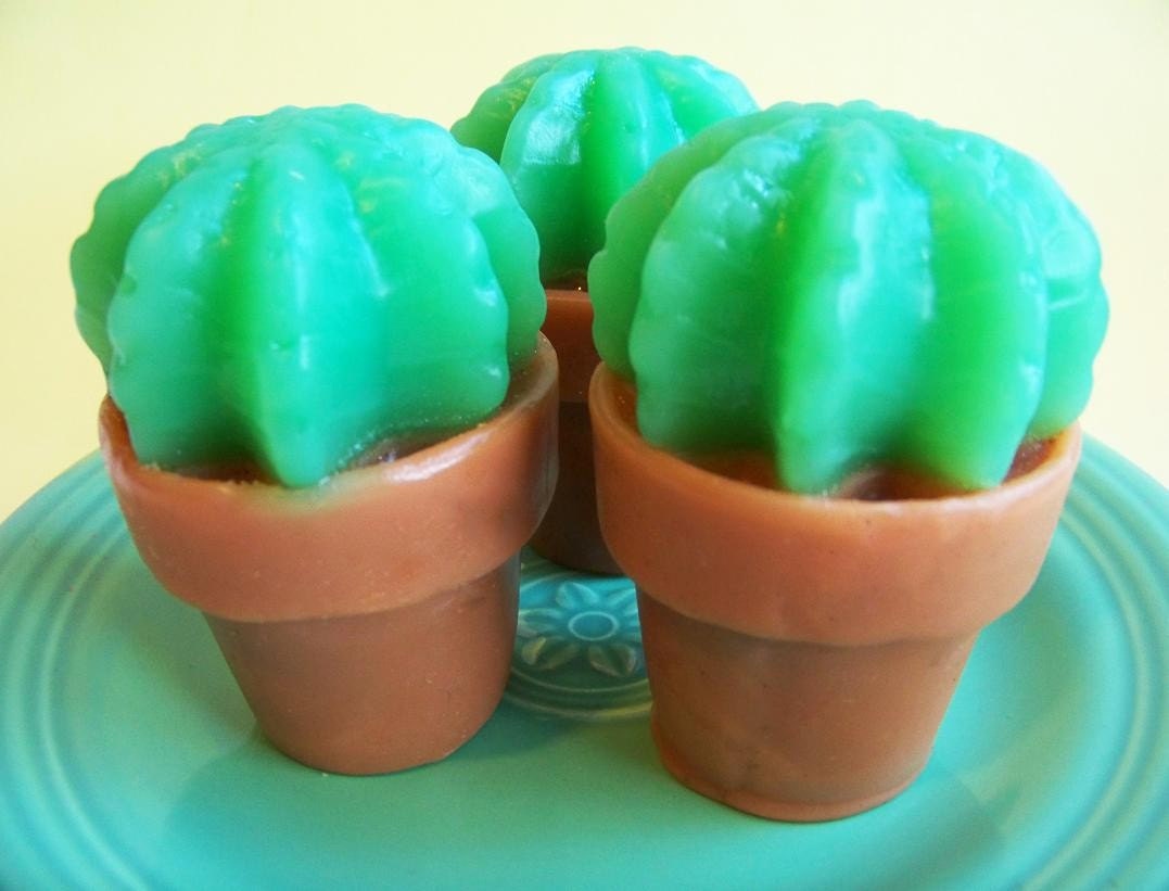 Lime Cactus Soap