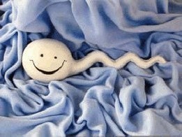1 Signed Sperm Doll Rare