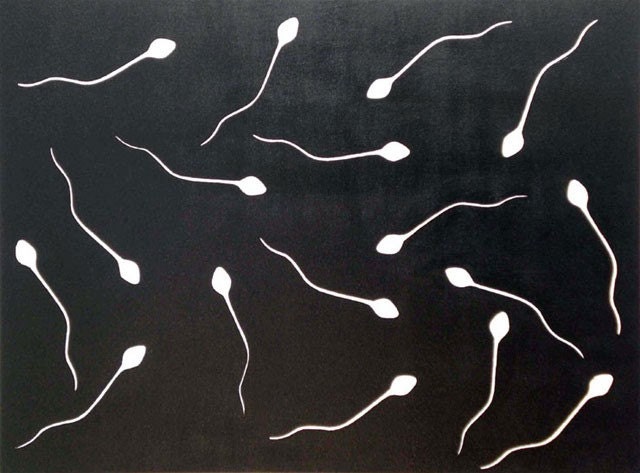 Made To Order  Sperm Wallpaper  Sperm Bedding  Sperm Curtains ETC