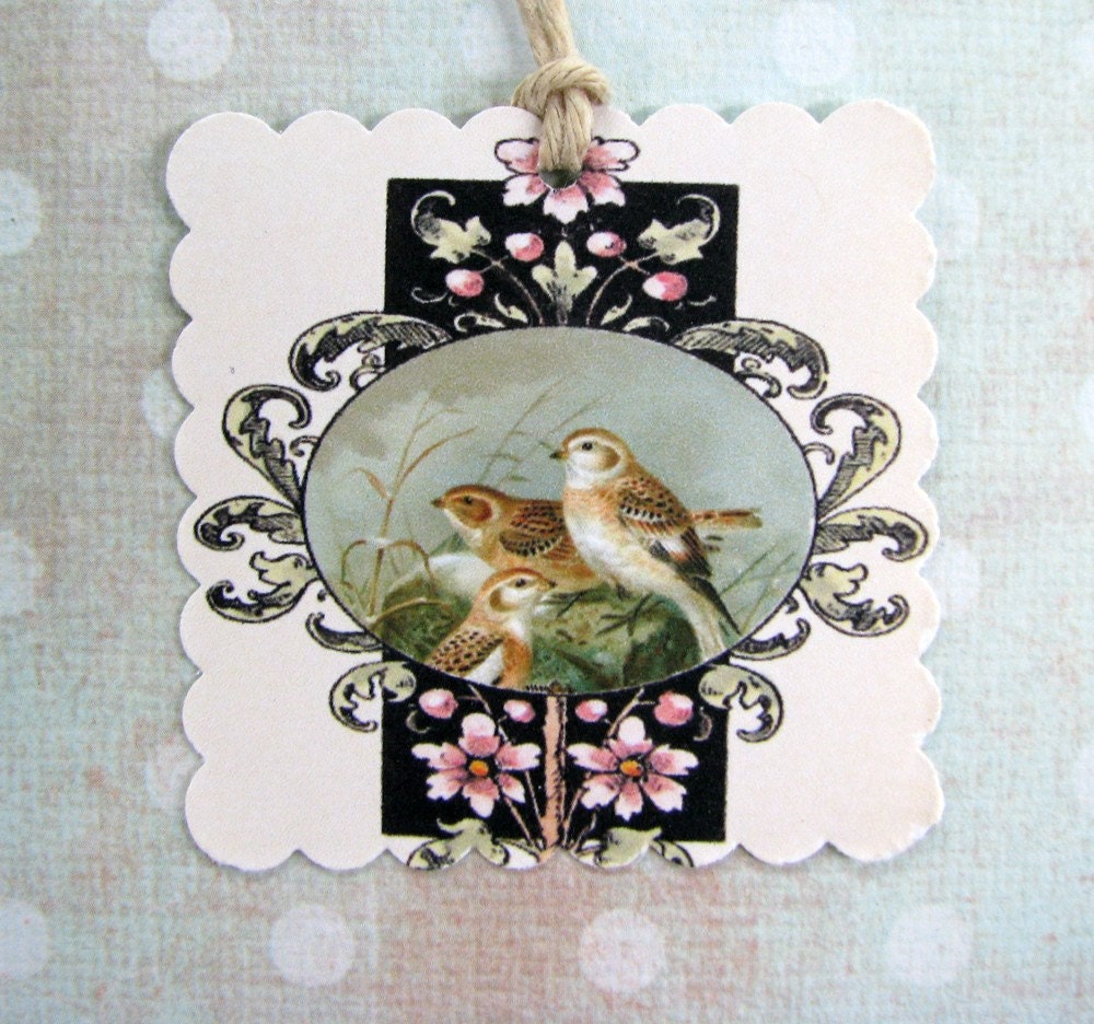 Sweet Bird Tags