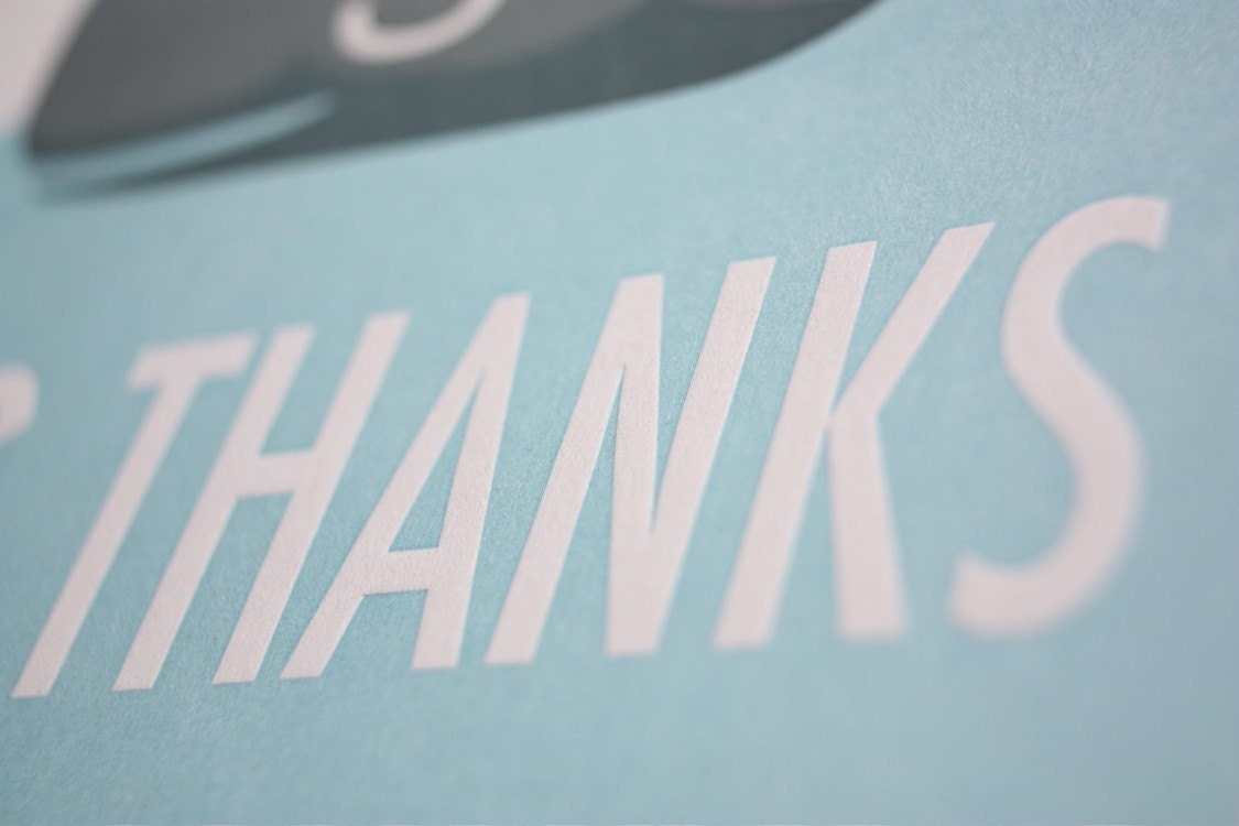 big thanks boxed set of 8