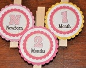 Photo Clips. Photo Banner. Pink. Yellow. Polka Dots. Pink Lemonade. Diy Picture Banner. Set of 13