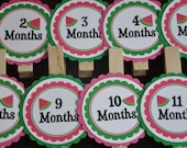 Watermelon Photo Clips. Watermelon Party. Photo Clips. Picture Banner. Set of 13. Newborn. 12 months. First Birthday. Green. Pink