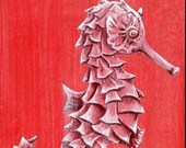 Ruby Red Seahorse- 6x6 print