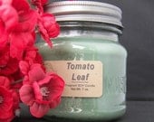 TOMATO LEAF SOY Candle - Highly Scented