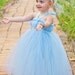 Cinderella costume tutu dress in blue