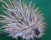 Prickly Porcupine Limited Edition Print