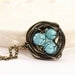 Bird Nest Necklace - Wire Wrapped Bird Nest Necklace - Gift For Mom - Expectant Mom - Grandmother