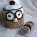Owl Cookie Jar...PDF Crochet Pattern