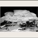 Well Read - Photography Print