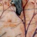 SALE SPRING - Nightingale Charm Pewter Dark Patina Bird