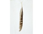 Feather Art Print - Living Room / Office Wall Decor - Elegant - 8x12